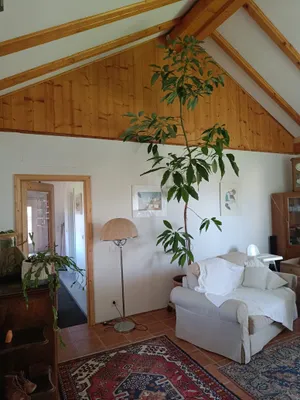 Haus kaufen in Leibnitz – 202 m², € 580.000 – Bild 10 von 35