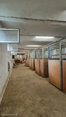 Haus kaufen in Leibnitz – 202 m², € 580.000 – Bild 21 von 35