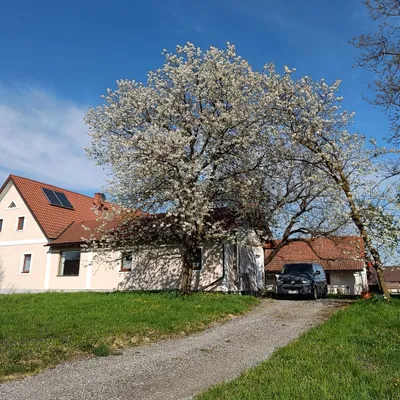 Haus kaufen in Leibnitz – 202 m², € 580.000 – Bild 5 von 35