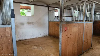 Haus kaufen in Leibnitz – 202 m², € 580.000 – Bild 22 von 35