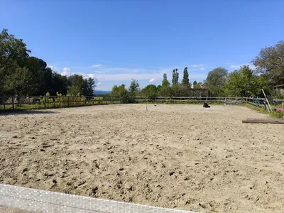 Haus kaufen in Leibnitz – 202 m², € 580.000 – Bild 30 von 35