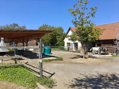 Haus kaufen in Leibnitz – 202 m², € 580.000 – Bild 29 von 35