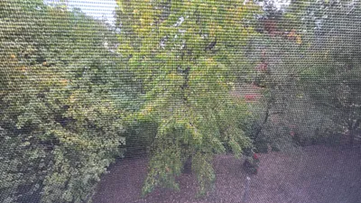 3-Zimmer-Wohnung mieten in Wien – 61 m², € 604 – Bild 21 von 38
