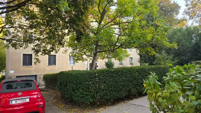 3-Zimmer-Wohnung mieten in Wien – 61 m², € 604 – Bild 30 von 38