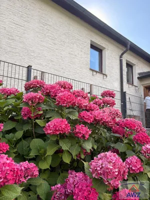 3-Zimmer-Haus kaufen in Amstetten – 140 m² – Bild 3 von 4