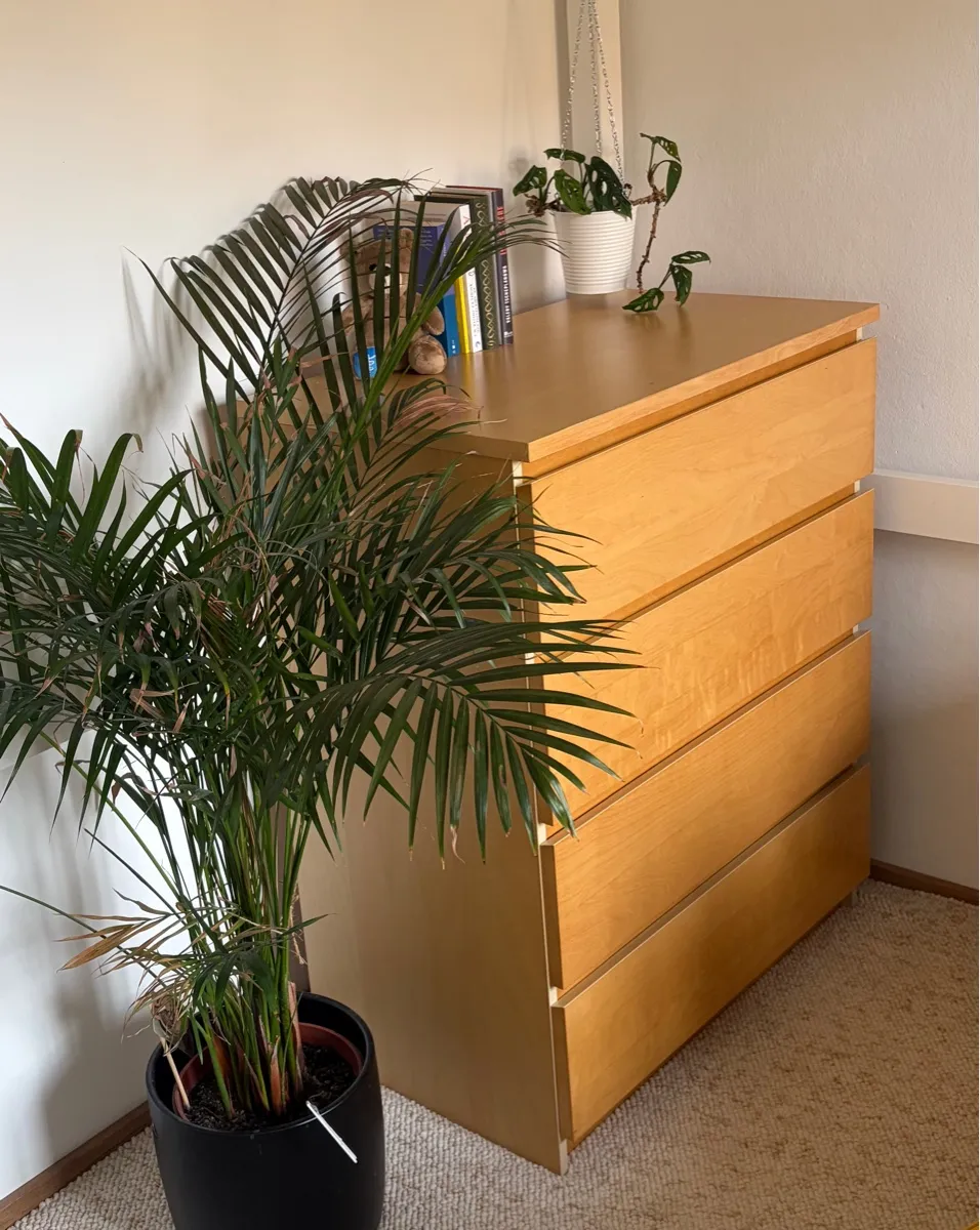 IKEA MALM Kommode braun, € 50,- (8330 Feldbach)