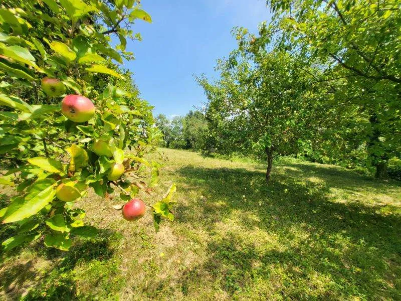 Traumhaftes, sonniges Grundstück (4.680m²) in absoluter Ruhelage in Stadtbergen! - Ansicht 2