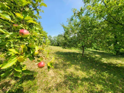 Grundstück kaufen in Hartberg-Fürstenfeld – 4 680 m², € 290.000 – Bild 2 von 12