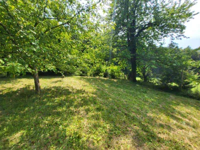 Grundstück kaufen in Hartberg-Fürstenfeld – 4 680 m², € 290.000 – Bild 7 von 12