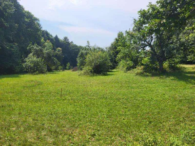 Grundstück kaufen in Hartberg-Fürstenfeld – 4 680 m², € 290.000 – Bild 8 von 12