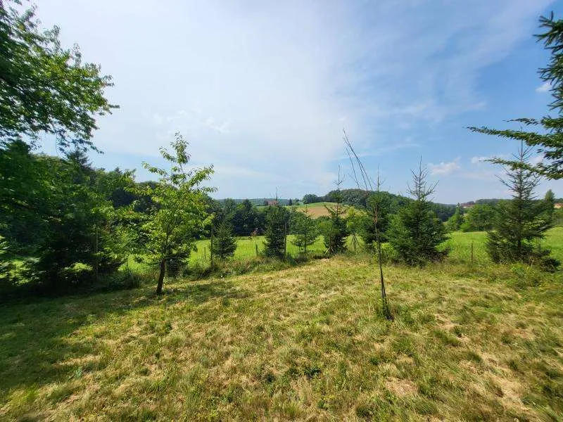 Traumhaftes, sonniges Grundstück (4.680m²) in absoluter Ruhelage in Stadtbergen! - Ansicht 3