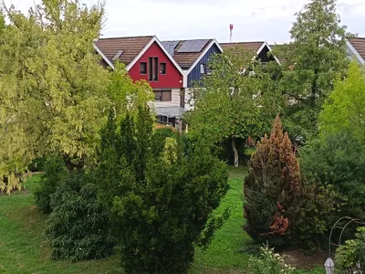 2-Zimmer-Wohnung mieten in Linz Land – 32 m², € 559 – Bild 5 von 7