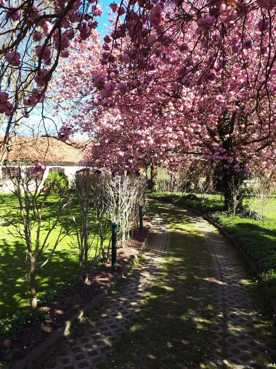 Haus – Deutsch Kaltenbrunn - Ansicht 2