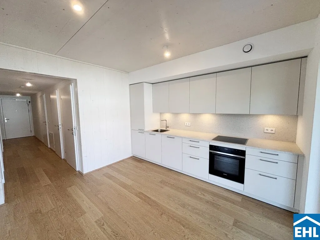 Apartment in Mödling, Vorderbrühl - Ansicht 3