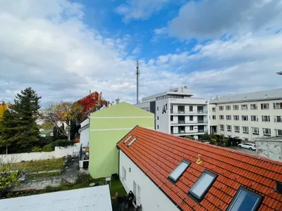 1-Zimmer-Wohnung mieten in Wiener Neustadt – 44 m², € 715 – Bild 17 von 21