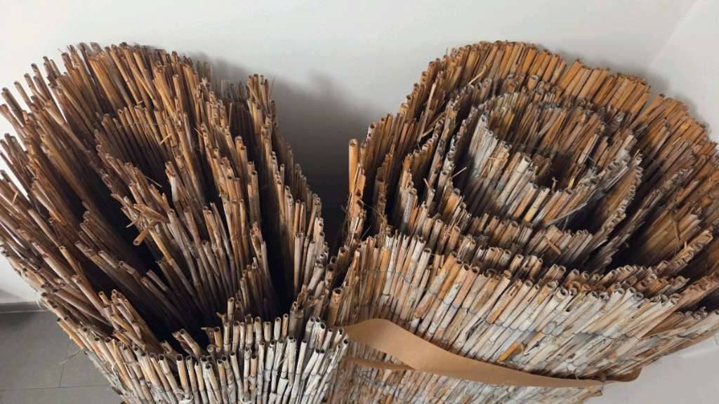 Bambus Sichtschutz gebraucht,  0,- (1100 Wien) - willhaben