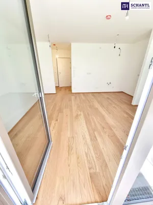 1-Zimmer-Wohnung mieten in Wien – 30,06 m², € 826 – Bild 14 von 27