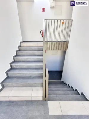 1-Zimmer-Wohnung mieten in Wien – 30,06 m², € 826 – Bild 23 von 27