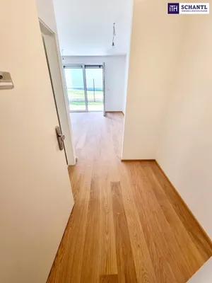 1-Zimmer-Wohnung mieten in Wien – 30,06 m², € 826 – Bild 26 von 27