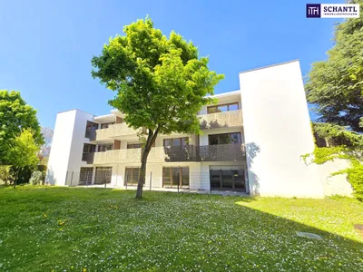1-Zimmer-Wohnung mieten in Wien – 30,06 m², € 826 – Bild 13 von 27