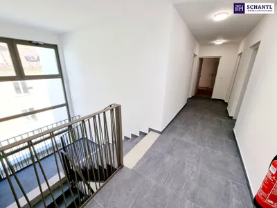 1-Zimmer-Wohnung mieten in Wien – 30,06 m², € 826 – Bild 20 von 27