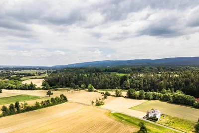 Immobilie kaufen in Wiener Neustadt Land – € 720.000 – Bild 14 von 15