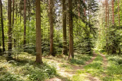 Immobilie kaufen in Wiener Neustadt Land – € 720.000 – Bild 11 von 15