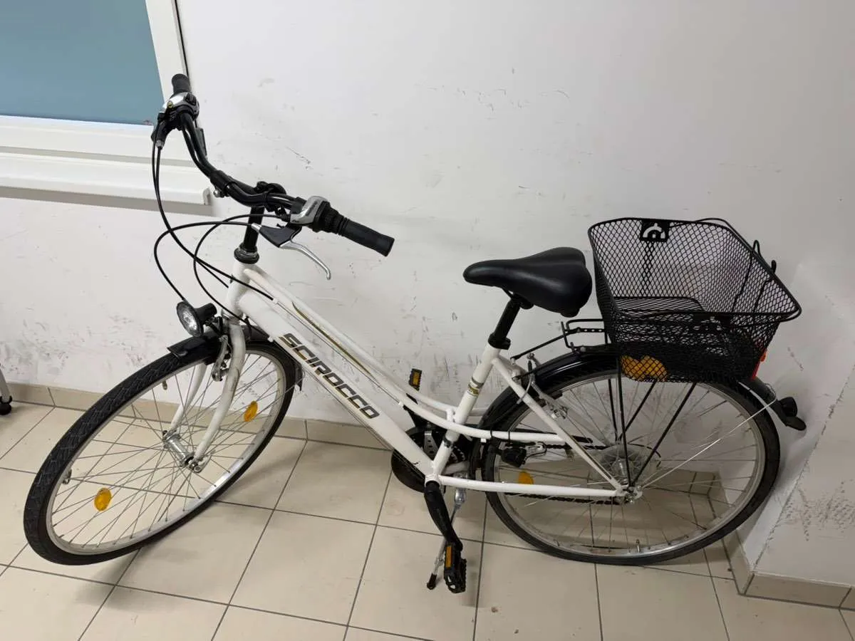 blaupunkt e-bike display kaufen DZ43 Electric Bike for Medium Motor Electric Bike BBS0102 BBSD Compatible with UART Protocol Sports & Outdoors Size:41 CM With an integrated Battery Ikea Hack: Tüten Aufbewahrung 1000W