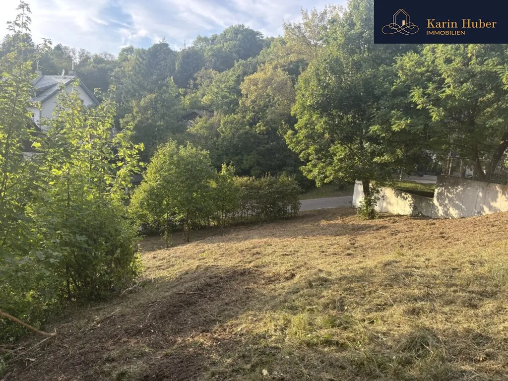 Einzigartiges Villengrundstück mit unverbaubarem Weitblick in Weidling - Ansicht 2