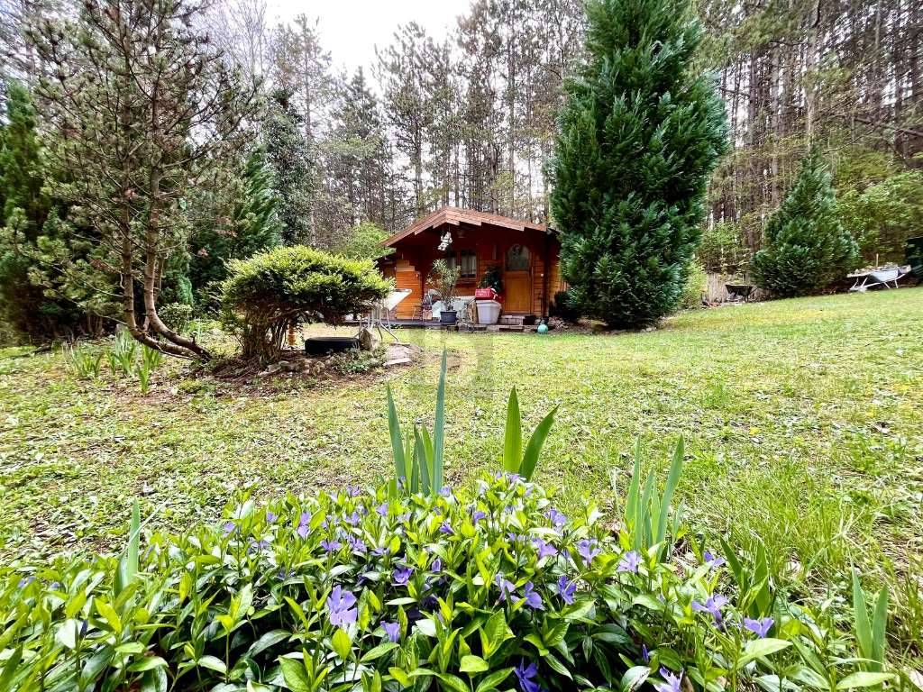 PREISHIT! SONNIGER UND SCHATTIGER TRAUM MIT POTENZIAL – pohled 2