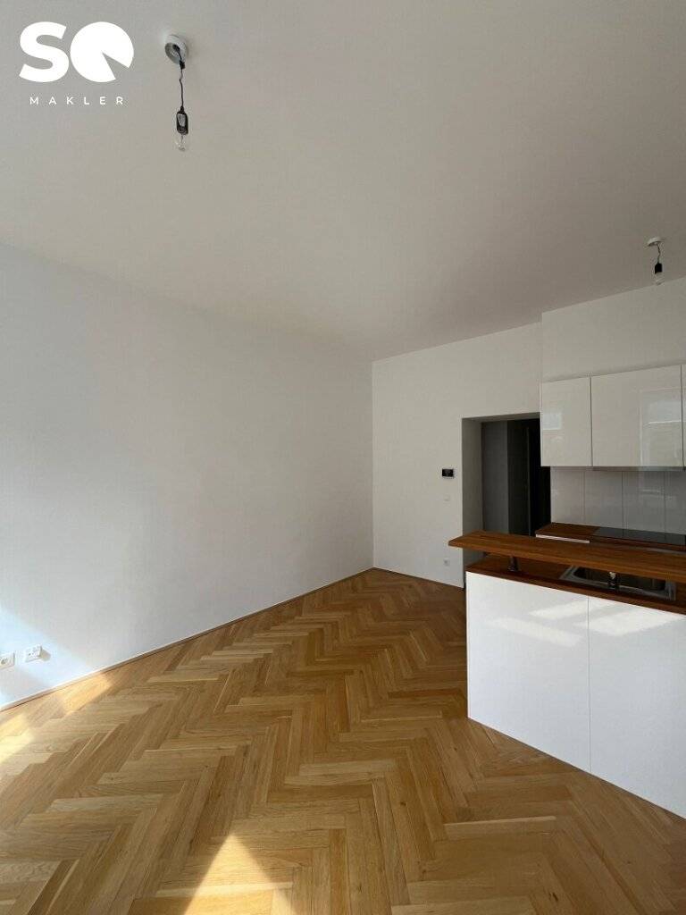 #SQ- WOHNUNGSPAKET 2 ALTBAUWOHNUNGEN IN 1200, Wien