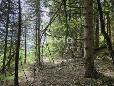 5-Zimmer-Haus kaufen in Gmünd – 160 m², € 159.000 – Bild 22 von 23