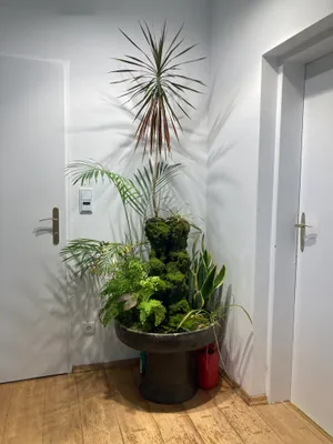 3-Zimmer-Wohnung mieten in Wien – 75 m², € 1.649 – Bild 12 von 25