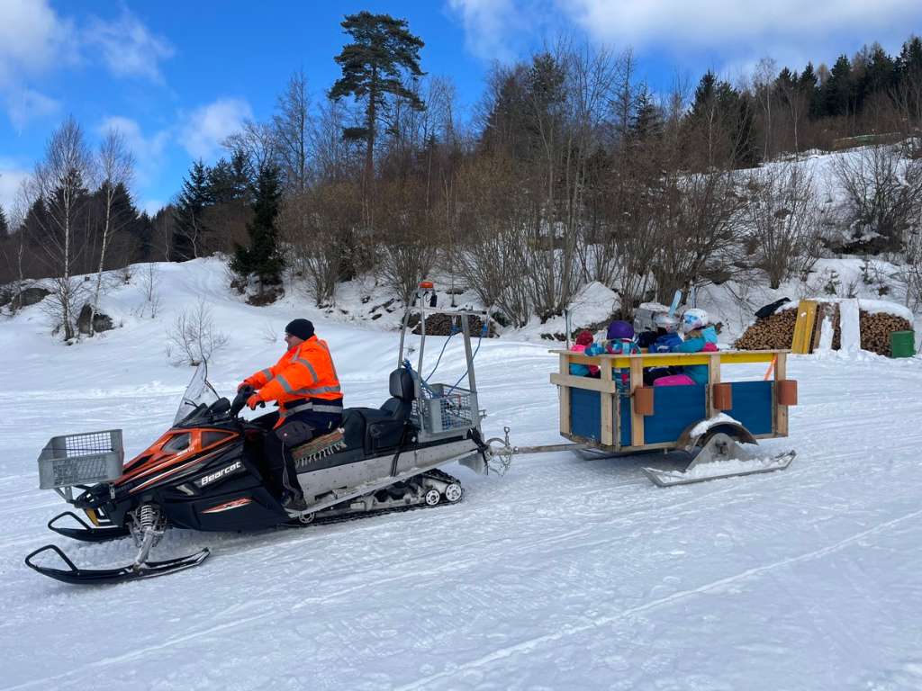 Arctic Cat Schneemobil