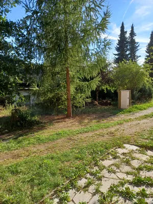 2-Zimmer-Haus mieten in Freistadt – 62 m², € 660 – Bild 10 von 11