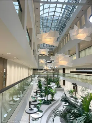 Gewerbeimmobilie mieten in Wien – 2 561 m² – Bild 9 von 14