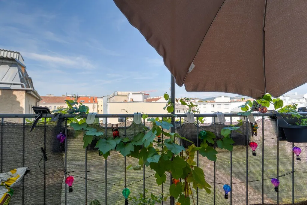 Wohnung – Wien - Ansicht 2