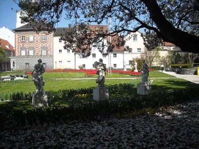 4-Zimmer-Wohnung kaufen in Wels – 84 m², € 158.000 – Bild 12 von 13