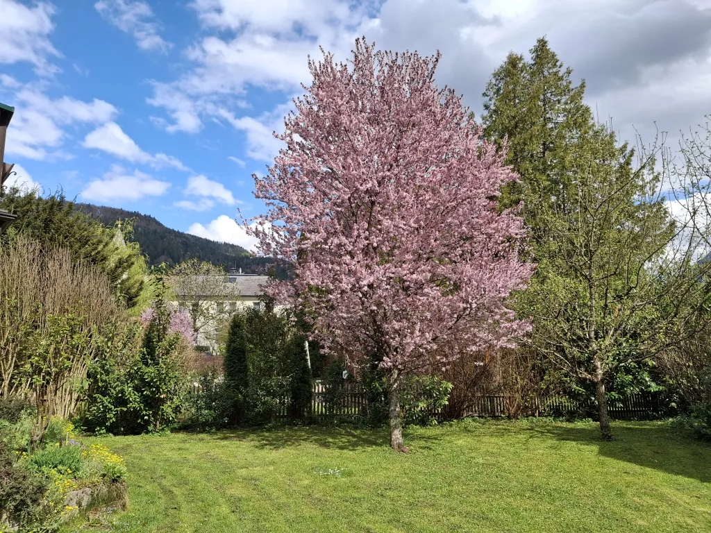 Haus – Bad Goisern am Hallstättersee, Lasern - Ansicht 3