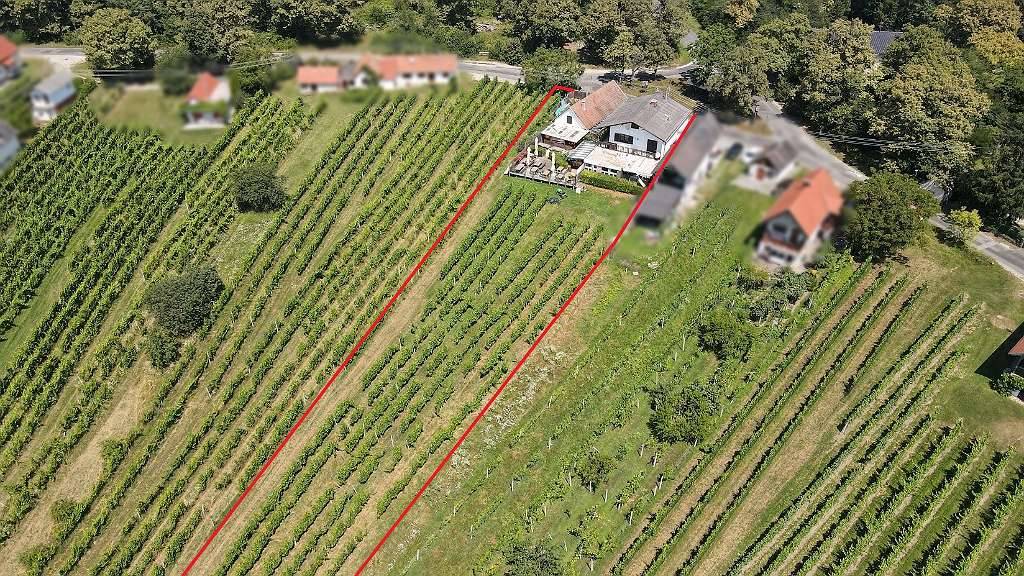 Ehemaliger Gastronomiebetrieb mit Möglichkeit zum Hauptwohnsitz in den Weinbergen! - Vista 3