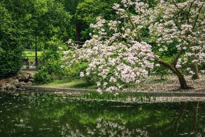 1996/66