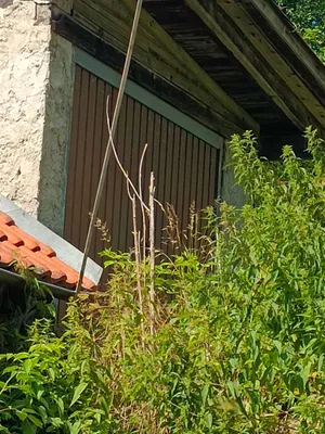 5-Zimmer-Haus mieten in Freistadt – 180 m², € 680 – Bild 3 von 12