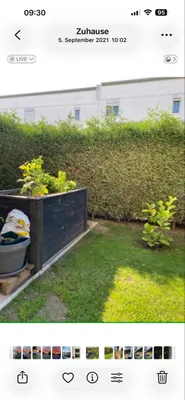 3-Zimmer-Wohnung mieten in Murtal – 76 m², € 813 – Bild 13 von 14