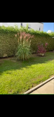 3-Zimmer-Wohnung mieten in Murtal – 76 m², € 813 – Bild 14 von 14