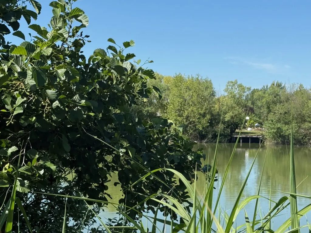 Natur, Wasser & Ruhe - attraktiver Baugrund nahe Österreich – pohled 3