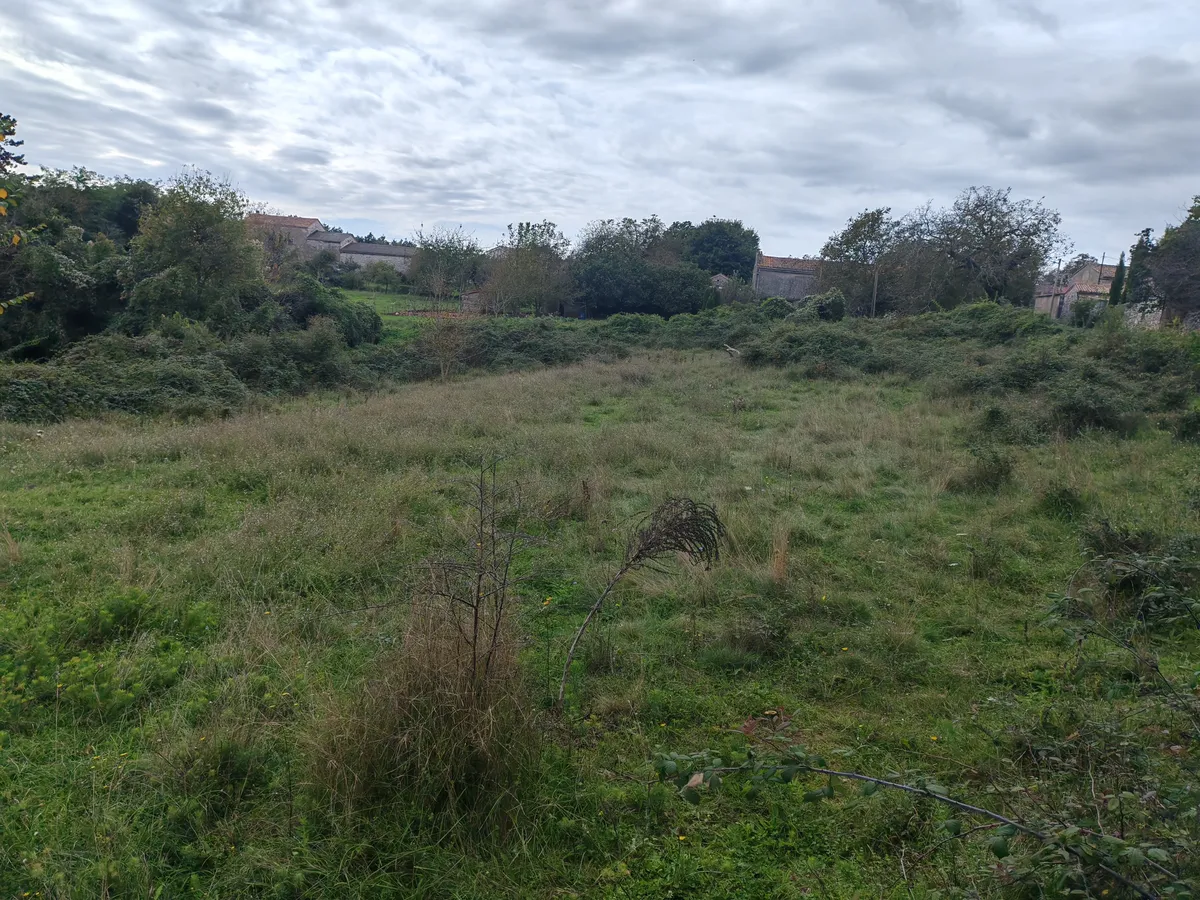 ISTRIEN - vier Baugrundstücke in ruhiger Grünlage mit Panoramablick - Einzelverkauf möglich - Ansicht 2