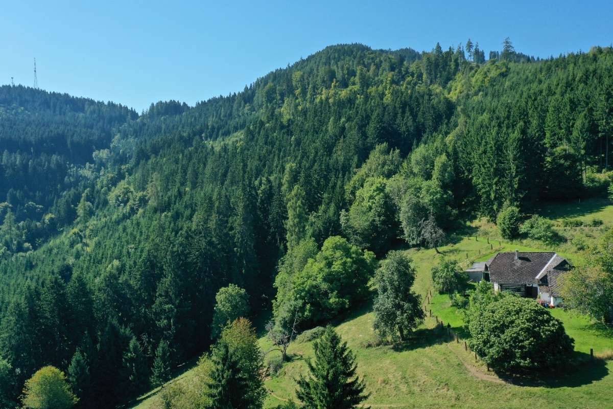 27 ha Wald/Weide Nähe Brückl mit HOFSTELLENWIDMUNG - Ansicht 2