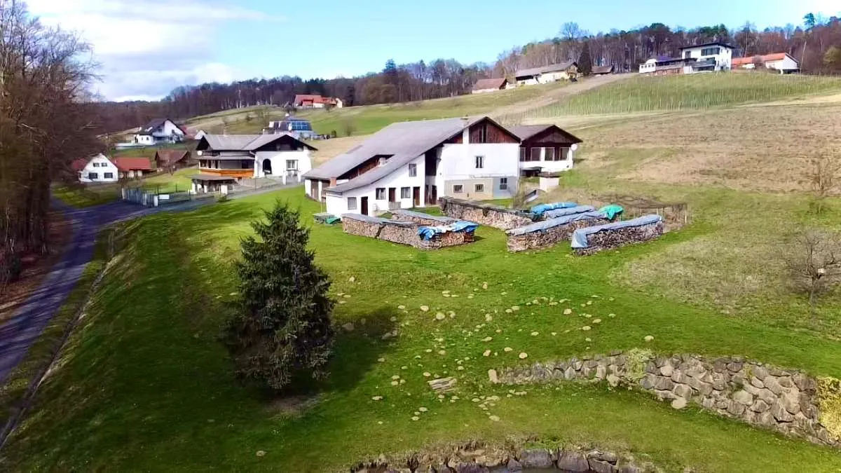 CHARMANTES LANDHAUS INMITTEN DER THERMENREGION MIT VIEL POTENZIAL ! - Ansicht 3