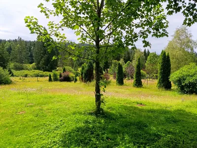 4-Zimmer-Haus kaufen in Rohrbach – 170 m², € 349.000 – Bild 24 von 24