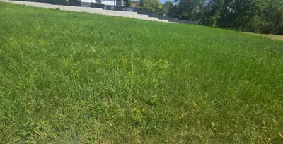 Grundstück kaufen in Güssing – 1 427 m², € 70.000 – Bild 2 von 2
